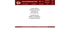 Desktop Screenshot of centrodelcollezionismo.com