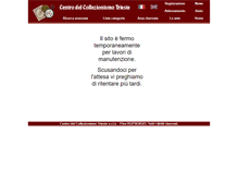 Tablet Screenshot of centrodelcollezionismo.com